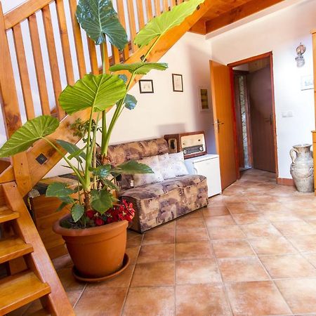 Holiday Home Juricko With Private Sauna Bizeljsko Exterior photo